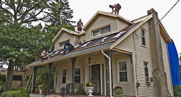 Best Roof Maintenance Services  in Ivanhoe, TX